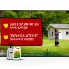 Glyphosate Concentrate Grass & Weed Killer Herbicide by Compare N Save-3
