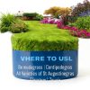 BioAdvanced Season Long Lawn Weed Killer 10lb Granules 4000 Sq Ft-4